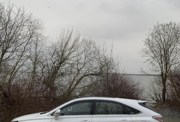 Lexus RX, 2014 год выпуска с двигателем Бензин, 74 798 BYN в г. Минск