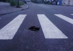 В Минске водитель Жигулей сбил пешехода