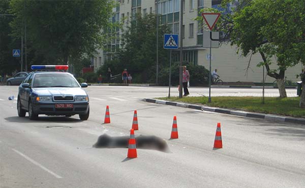 В Солигорске водитель BMW совершил наезд на пешехода и скрылся с места ДТП