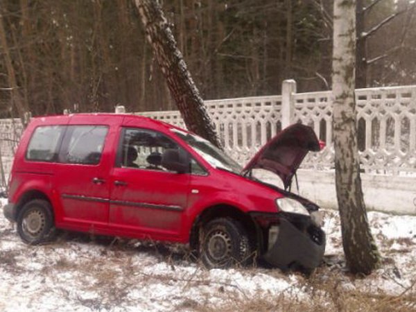 Авария в Минске на улице Парниковой: VW Caddy «встретился» с березой