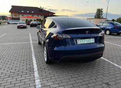 Фото Tesla Model Y