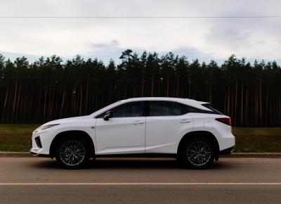 Фото Lexus RX, 2020 год выпуска, с двигателем Бензин, 218 638 BYN в г. Минск