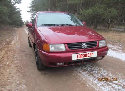 Фото Volkswagen Polo, 1998 год выпуска, с двигателем Дизель, 6 206 BYN в г. Минск