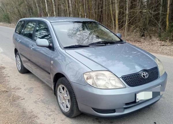 Toyota Corolla, 2003 год выпуска с двигателем Бензин, 17 439 BYN в г. Минск