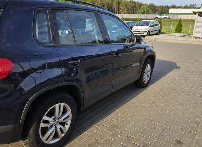 Фото Volkswagen Tiguan, 2016 год выпуска, с двигателем Бензин, 64 422 BYN в г. Минск