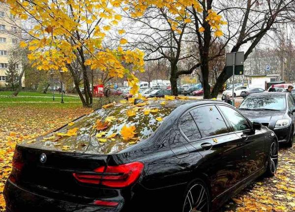 BMW 7 серия, 2018 год выпуска с двигателем Бензин, 188 790 BYN в г. Минск