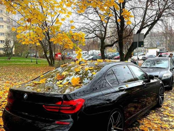 BMW 7 серия, 2018 год выпуска с двигателем Бензин, 188 790 BYN в г. Минск