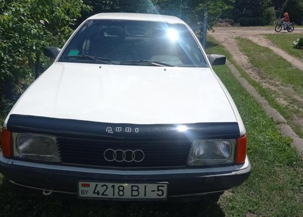 Audi 100, 1984 год выпуска с двигателем Бензин, 2 877 BYN в г. Молодечно