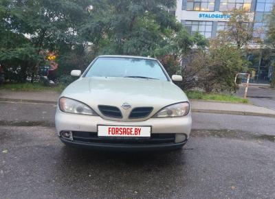 Фото Nissan Primera, 2000 год выпуска, с двигателем Бензин, 6 853 BYN в г. Минск