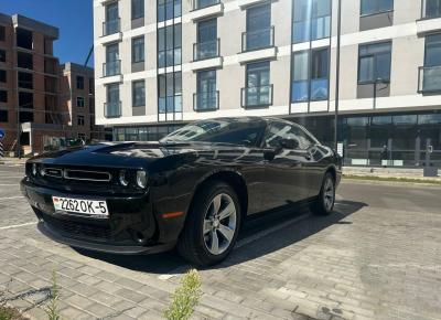 Фото Dodge Challenger, 2019 год выпуска, с двигателем Бензин, 75 268 BYN в г. Минск