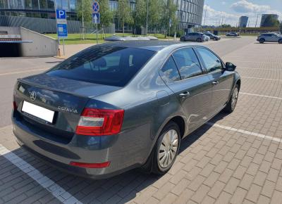 Фото Skoda Octavia