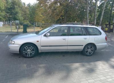 Фото Nissan Primera