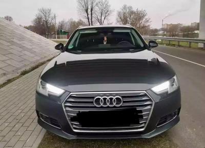 Фото Audi A4, 2017 год выпуска, с двигателем Дизель, 68 443 BYN в г. Пинск