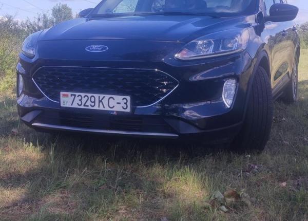 Ford Escape, 2019 год выпуска с двигателем Бензин, 57 996 BYN в г. Светлогорск