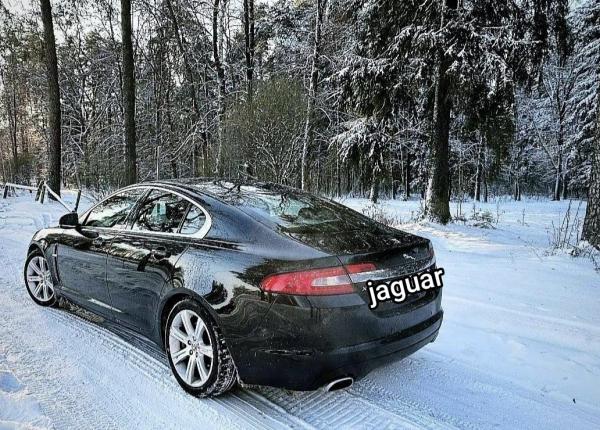 Jaguar XF, 2010 год выпуска с двигателем Бензин, 31 009 BYN в г. Могилёв