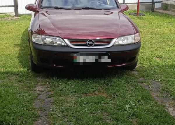 Opel Vectra, 1997 год выпуска с двигателем Бензин, 7 651 BYN в г. Добруш