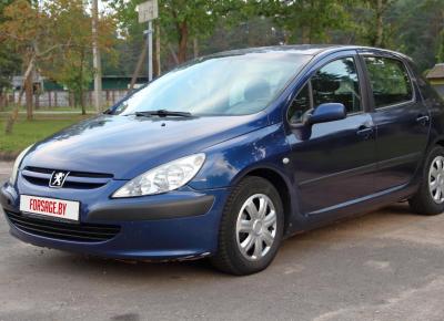 Фото Peugeot 307, 2003 год выпуска, с двигателем Бензин, 10 346 BYN в г. Вилейка