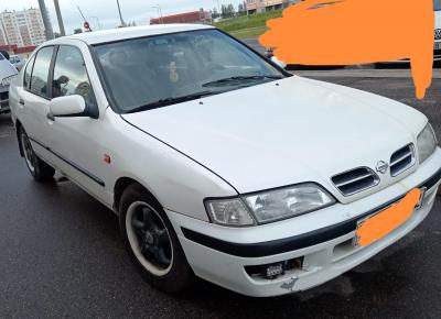 Фото Nissan Primera, 1997 год выпуска, с двигателем Бензин, 4 775 BYN в г. Витебск