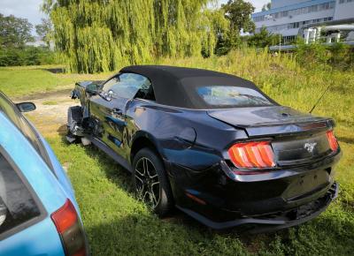 Фото Ford Mustang