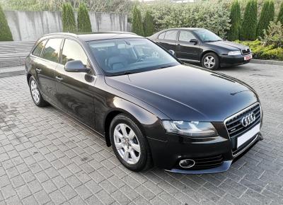 Фото Audi A4, 2009 год выпуска, с двигателем Дизель, 44 162 BYN в г. Минск