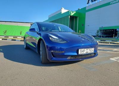 Фото Tesla Model 3, 2019 год выпуска, с двигателем Электро, 79 143 BYN в г. Минск