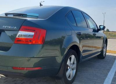 Фото Skoda Octavia