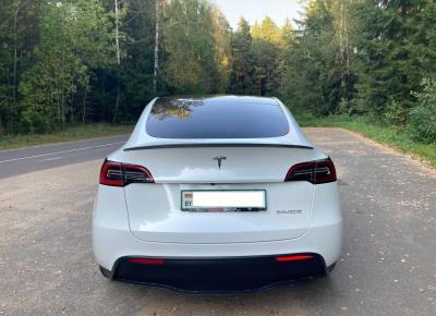 Фото Tesla Model Y