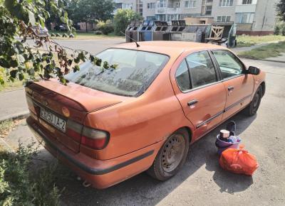 Фото Nissan Primera