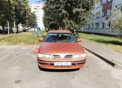 Фото Nissan Primera