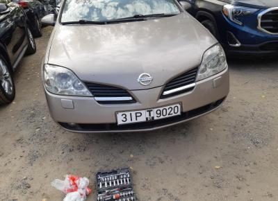 Фото Nissan Primera, 2006 год выпуска, с двигателем Бензин, 15 926 BYN в г. Гомель