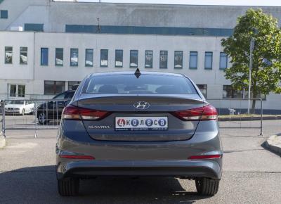 Фото Hyundai Elantra