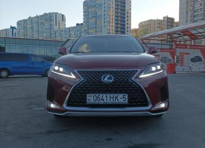 Фото Lexus RX, 2011 год выпуска, с двигателем Бензин, 64 304 BYN в г. Борисов