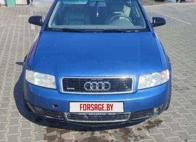 Фото Audi A4, 2002 год выпуска, с двигателем Бензин, 14 491 BYN в г. Брест