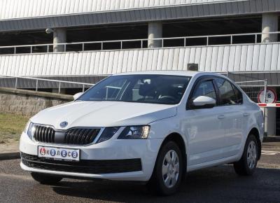 Фото Skoda Octavia, 2018 год выпуска, с двигателем Бензин, 48 148 BYN в г. Минск