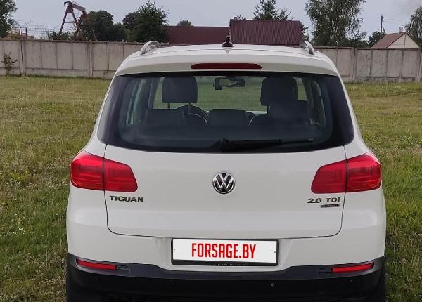 Volkswagen Tiguan, 2011 год выпуска с двигателем Дизель, 43 529 BYN в г. Брест