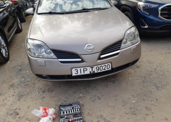 Nissan Primera, 2006 год выпуска с двигателем Бензин, 15 926 BYN в г. Гомель