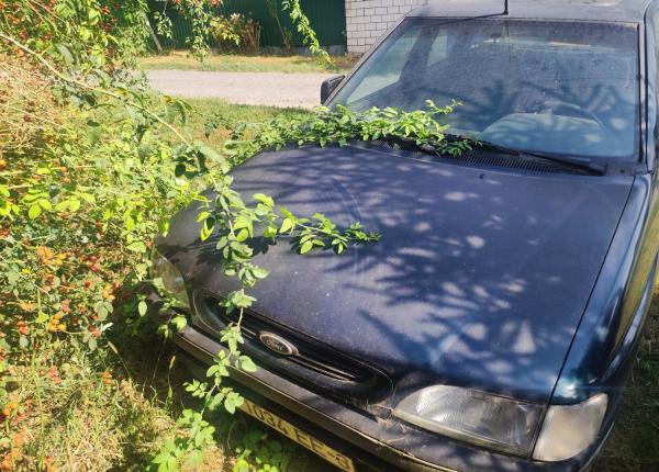 Ford Escort, 1994 год выпуска с двигателем Бензин, 1 300 BYN в г. Гомель