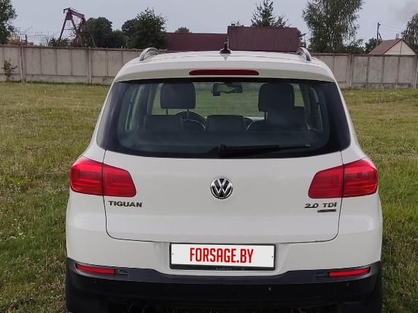 Volkswagen Tiguan, 2011 год выпуска с двигателем Дизель, 43 529 BYN в г. Брест