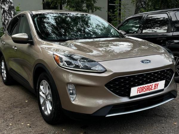 Ford Escape, 2020 год выпуска с двигателем Бензин, 51 438 BYN в г. Минск