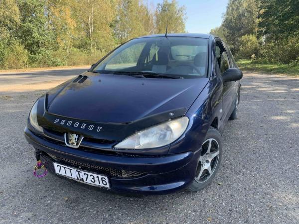 Peugeot 206, 2000 год выпуска с двигателем Бензин, 5 478 BYN в г. Минск