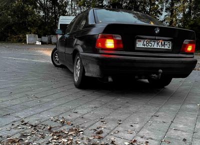 Фото BMW 3 серия