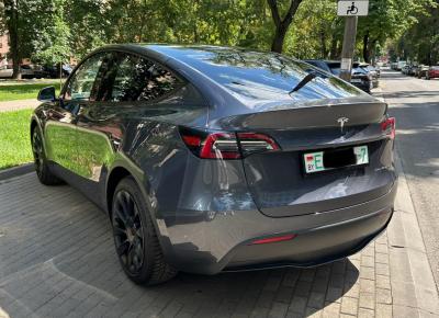 Фото Tesla Model Y