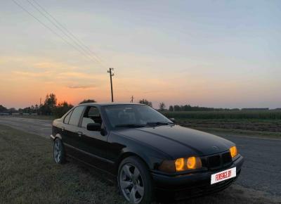 Фото BMW 3 серия