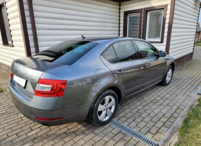 Фото Skoda Octavia