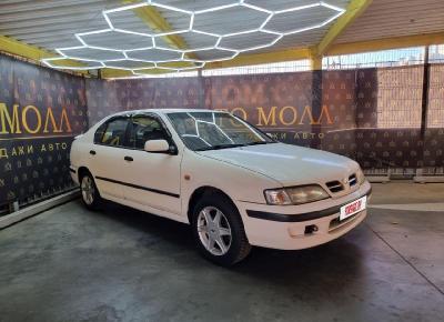 Фото Nissan Primera