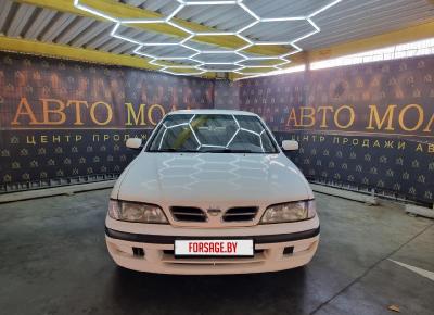 Фото Nissan Primera