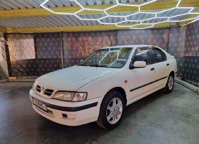 Фото Nissan Primera