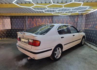 Фото Nissan Primera