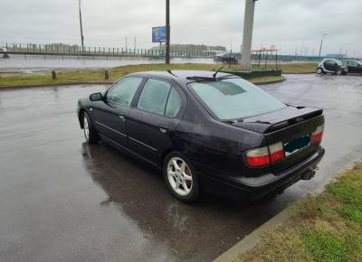 Фото Nissan Primera