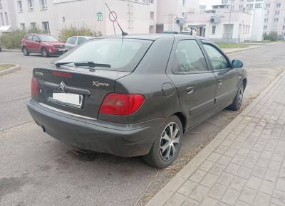 Фото Citroen Xsara